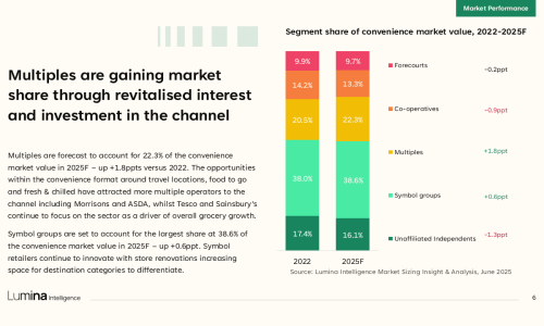 Convenience and Wholesale Market Report 2025 - Sample Slide 2