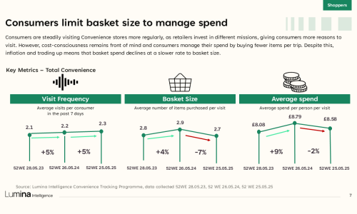 Convenience and Wholesale Market Report 2025 - Sample Slide 3