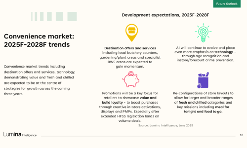 Convenience and Wholesale Market Report 2025 - Sample Slide 5