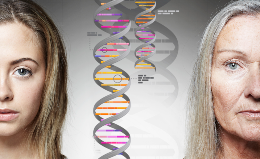 Healthspan Decoded: What Consumers Really Think About Aging, Wellness and Cellular Longevity